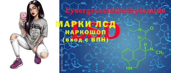 шишки Баксан