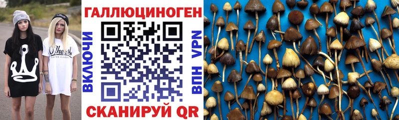 Галлюциногенные грибы Cubensis  закладки  Янаул 